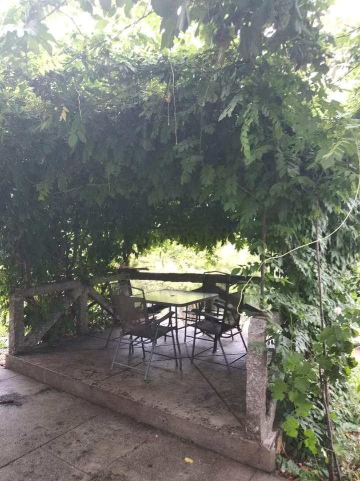 Casa Da Vovo Villa Amarante Kamer foto